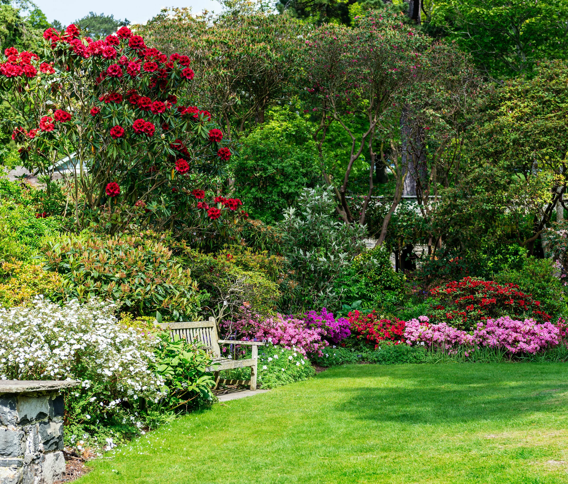 Parkbänke stehen vor einer üppigen Blumenkulisse mit Bäumen im Hintergrund